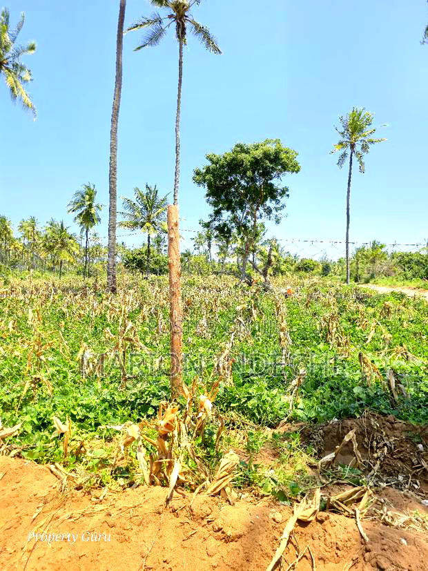 Prime 50by100ft Plots for Sale Located 1km From the Beach