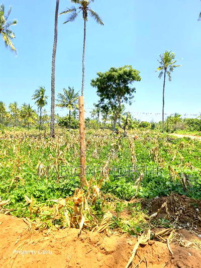 Prime 50by100ft Plots for Sale Located 1km From the Beach - Image 3