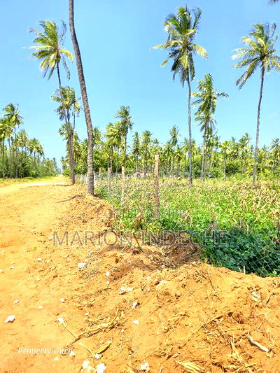 Prime 50by100ft Plots for Sale Located 1km From the Beach - Image 8