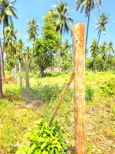 Prime 50by100ft Plots for Sale Located 1km From the Beach - Image 6