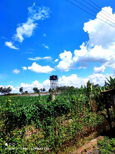 10 Acres Tarmac Tarmac in Ruiru Town Kwa Michael - Image 2
