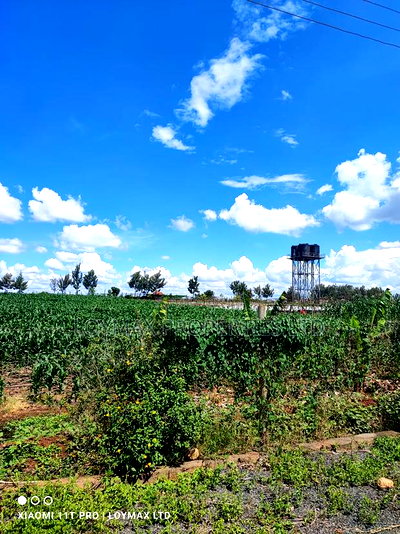 10 Acres Tarmac Tarmac in Ruiru Town Kwa Michael - Image 6