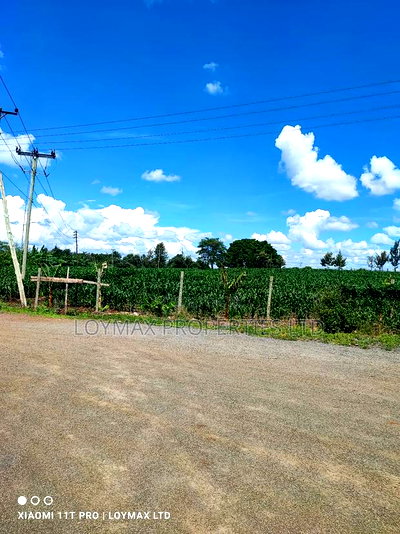 10 Acres Tarmac Tarmac in Ruiru Town Kwa Michael - Image 10