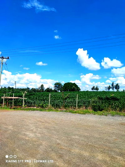 10 Acres Tarmac Tarmac in Ruiru Town Kwa Michael - Image 9