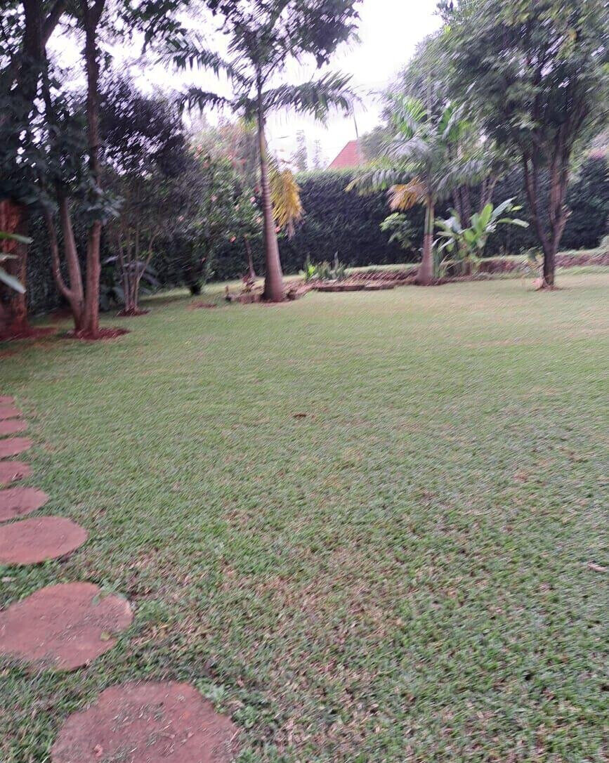 4BR Bungalow on Half-Acre Corner Plot with Private Office Wing - Kitisuru