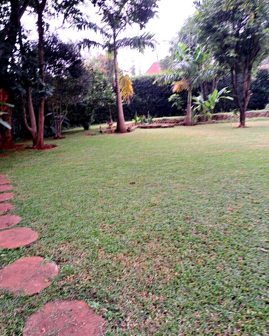 4BR Bungalow on Half-Acre Corner Plot with Private Office Wing - Kitisuru