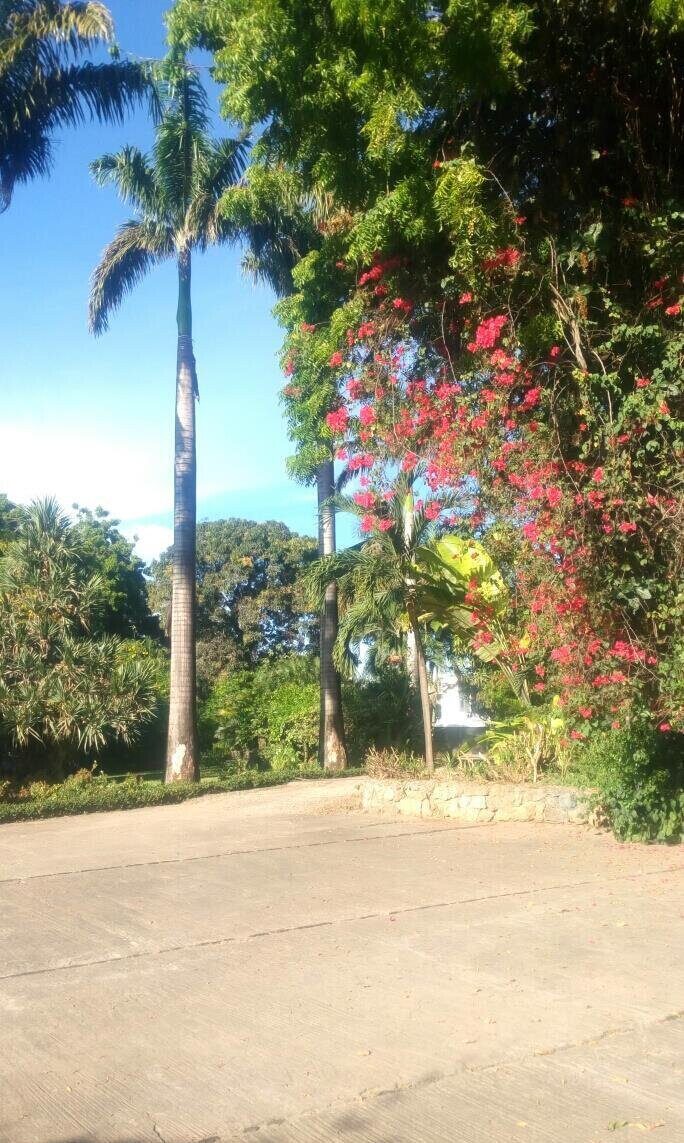 4.9-Acre Warehouse with Garden