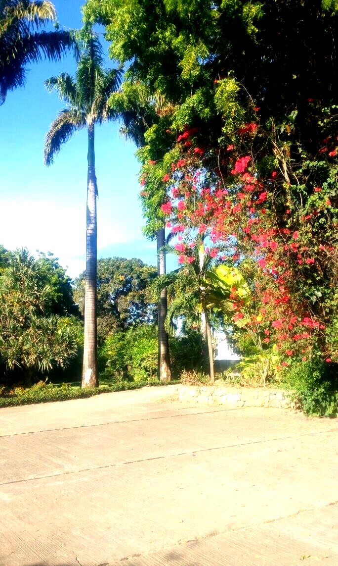 4.9-Acre Warehouse with Garden