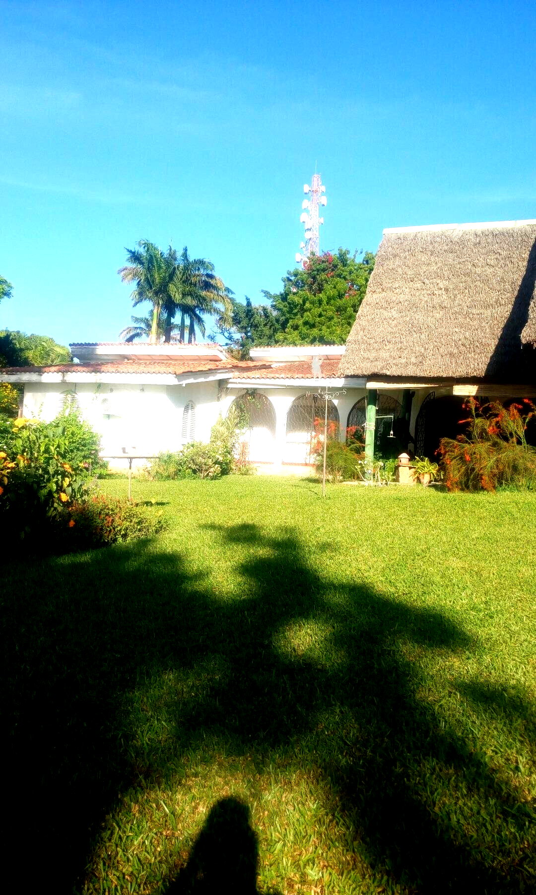 4.9-Acre Warehouse with Garden