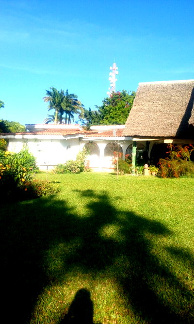 4.9-Acre Warehouse with Garden