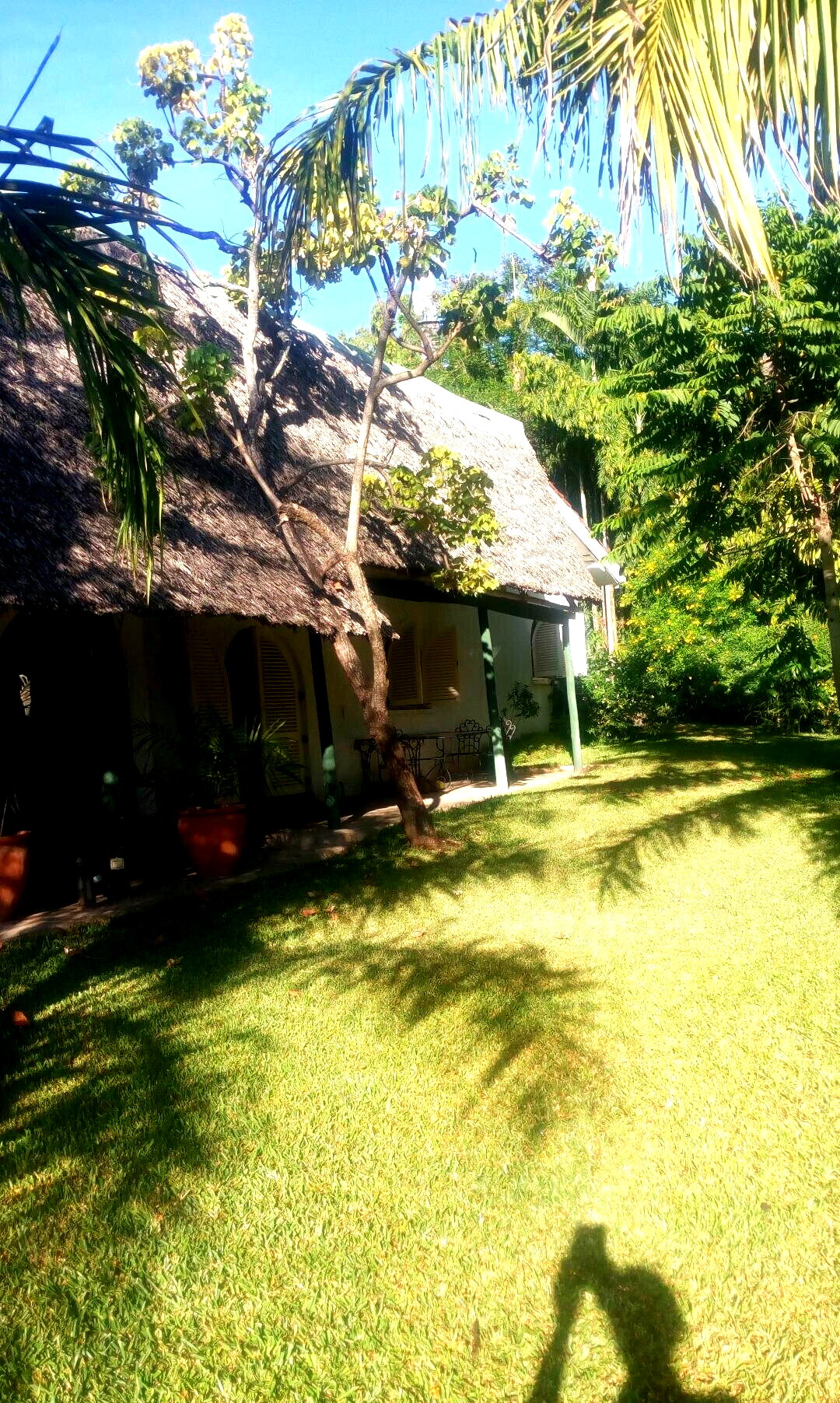 4.9-Acre Warehouse with Garden