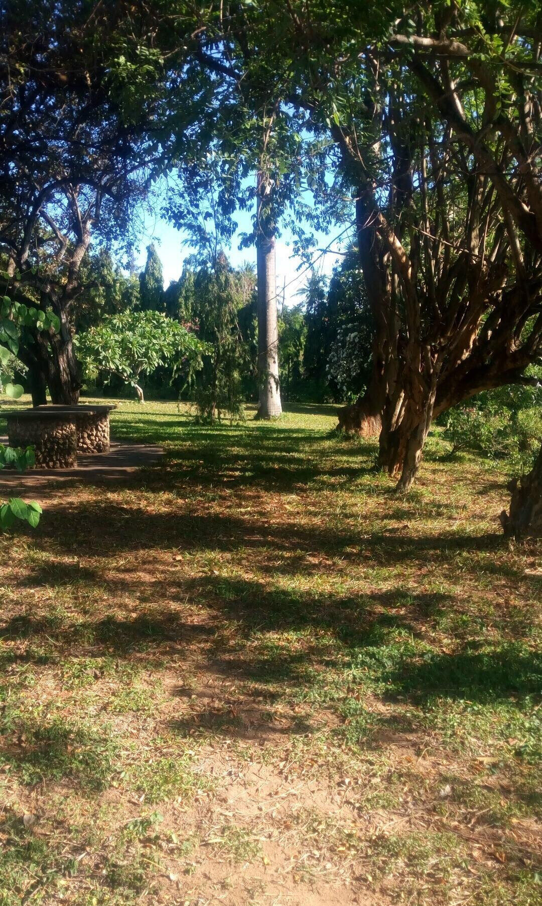 4.9-Acre Warehouse with Garden