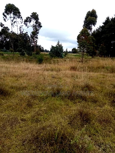 Land on Sale at Kinangop Koinange - Image 8