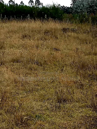 Land on Sale at Kinangop Koinange - Image 9