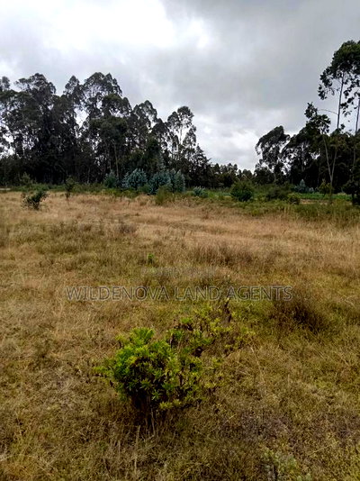 Land on Sale at Kinangop Koinange - Image 7