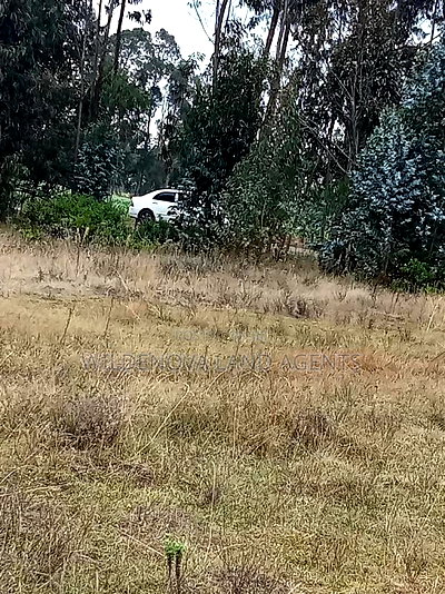 Land on Sale at Kinangop Koinange - Image 4