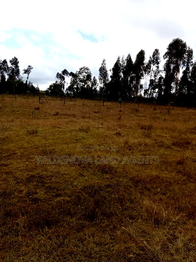 Land on Sale at Kinangop Koinange - Image 5