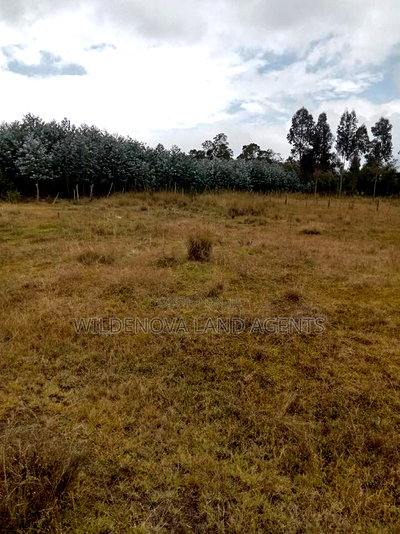 Land on Sale at Kinangop Koinange - Image 6