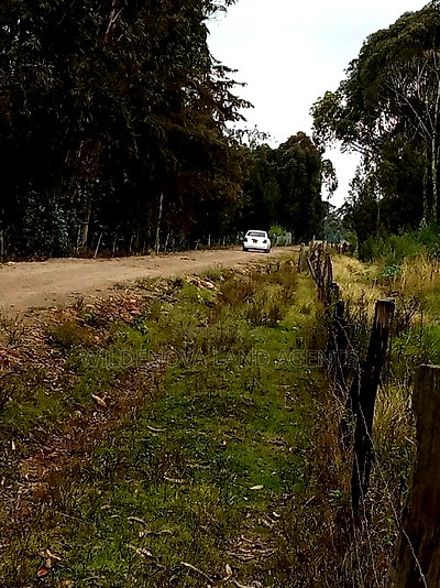 Land on Sale at Kinangop Koinange - Image 2