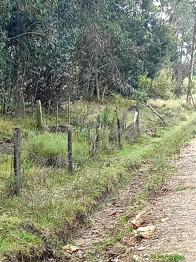 Land on Sale at Kinangop Koinange - Image 1