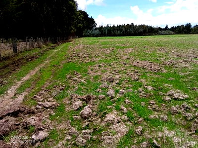 5 Acre on Sale at Kinangop Eginear - Image 1