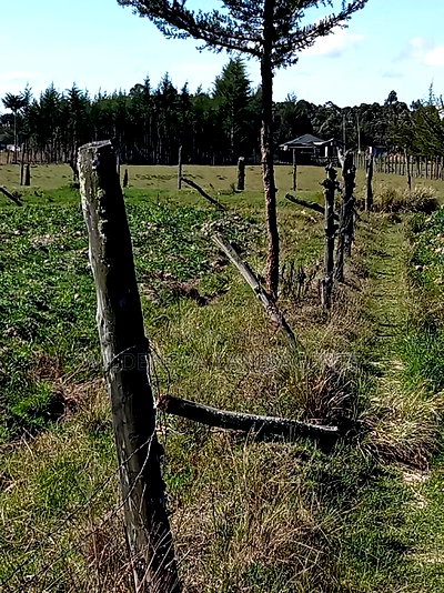 5 Acre on Sale at Kinangop Eginear - Image 5