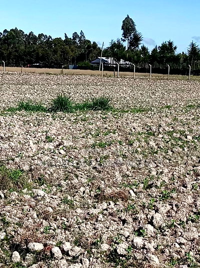 5 Acre on Sale at Kinangop Eginear - Image 8