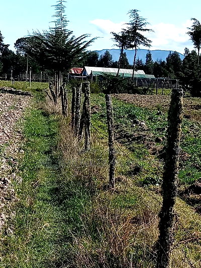 5 Acre on Sale at Kinangop Eginear - Image 7