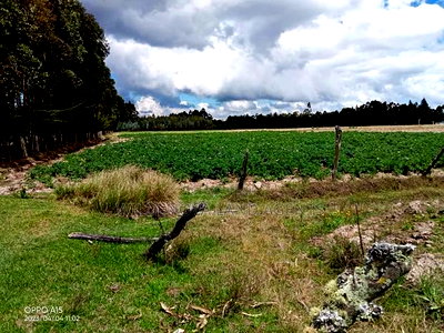 5 Acre on Sale at Kinangop Eginear - Image 2