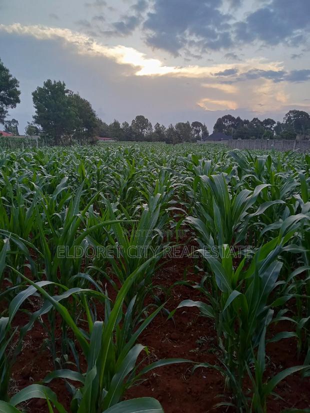 1/4 Plus 1/8 Plot Kiplombe With Title