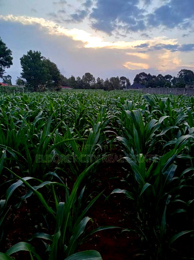 1/4 Plus 1/8 Plot Kiplombe With Title - Image 3