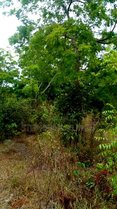 1 Acre Plot on Sale at Kona-Musa Near Ratinga Mekaela Academ - Image 6