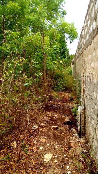 1 Acre Plot on Sale at Kona-Musa Near Ratinga Mekaela Academ - Image 2