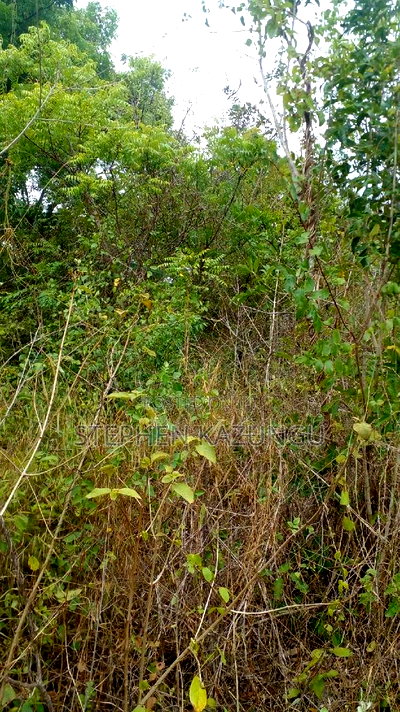 1 Acre Plot on Sale at Kona-Musa Near Ratinga Mekaela Academ - Image 12
