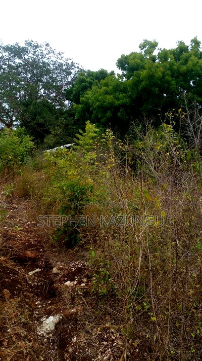 1 Acre Plot on Sale at Kona-Musa Near Ratinga Mekaela Academ - Image 9