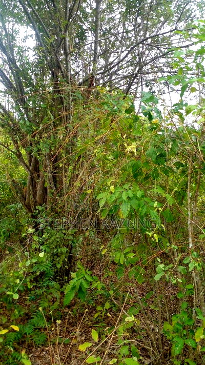 1 Acre Plot on Sale at Kona-Musa Near Ratinga Mekaela Academ - Image 7