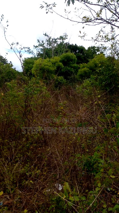 1 Acre Plot on Sale at Kona-Musa Near Ratinga Mekaela Academ - Image 13