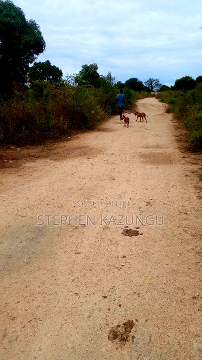 1 Acre Plot on Sale at Kona-Musa Near Ratinga Mekaela Academ - Image 1