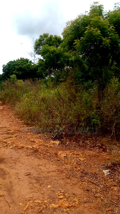 1 Acre Plot on Sale at Kona-Musa Near Ratinga Mekaela Academ - Image 10