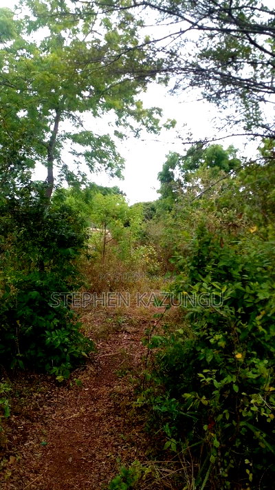 1 Acre Plot on Sale at Kona-Musa Near Ratinga Mekaela Academ - Image 3