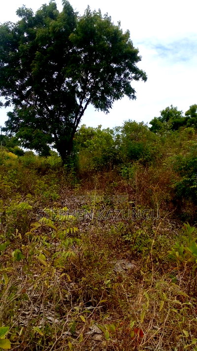 1 Acre Plot on Sale at Kona-Musa Near Ratinga Mekaela Academ - Image 4