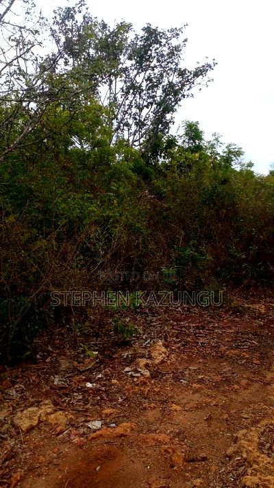 1 Acre Plot on Sale at Kona-Musa Near Ratinga Mekaela Academ - Image 11