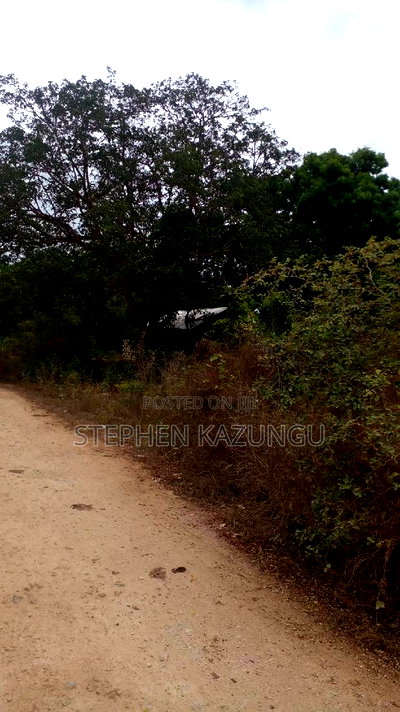 1 Acre Plot on Sale at Kona-Musa Near Ratinga Mekaela Academ - Image 8