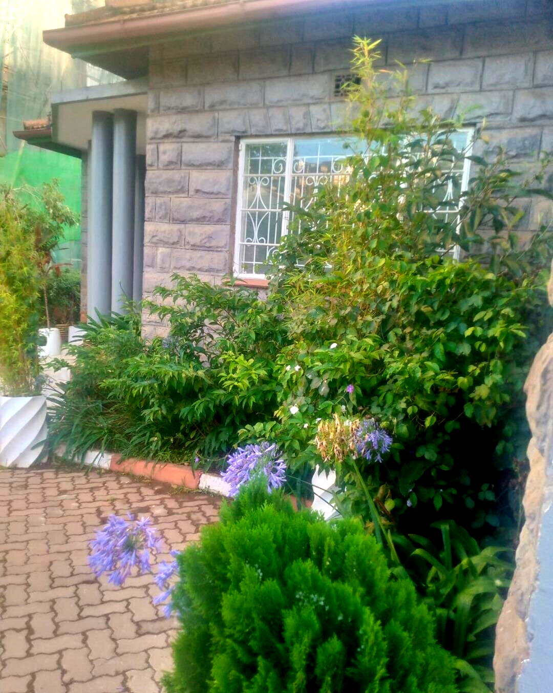 Pet Friendly 3BR Bungalow at KSh 150K