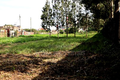 Prime 50*100 Plots - Ngong Road Opposite Jamhuri Show Ground - Image 5