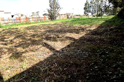 Prime 50*100 Plots - Ngong Road Opposite Jamhuri Show Ground - Image 13