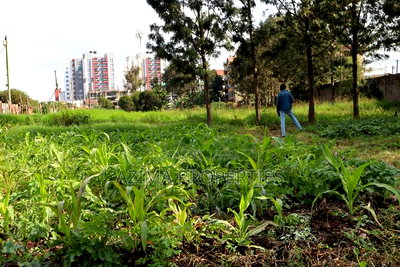 Prime 50*100 Plots - Ngong Road Opposite Jamhuri Show Ground - Image 2