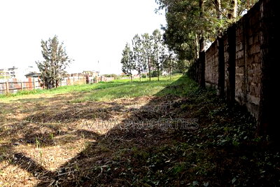 Prime 50*100 Plots - Ngong Road Opposite Jamhuri Show Ground - Image 4