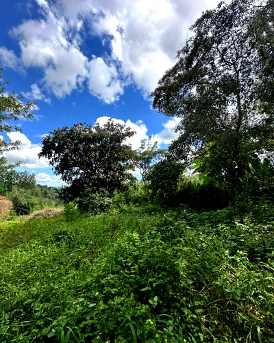 KSh 30M Garden Plot in Ol Keri