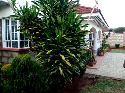 5bdrm Bungalow in Eldoville, Kapsoya for Sale - Image 1